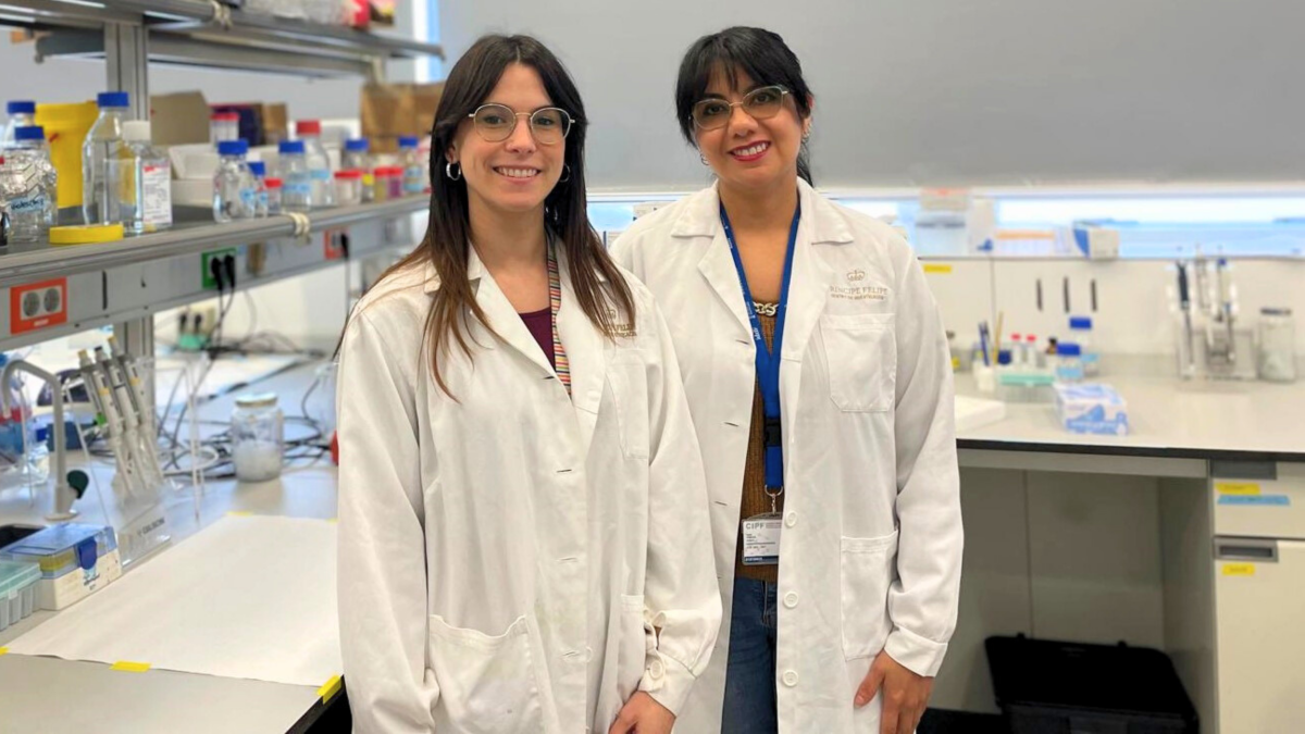 Alba and Erika started working on NanoGlue